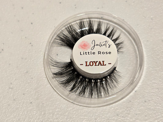 E02 - LOYAL Eyelashes